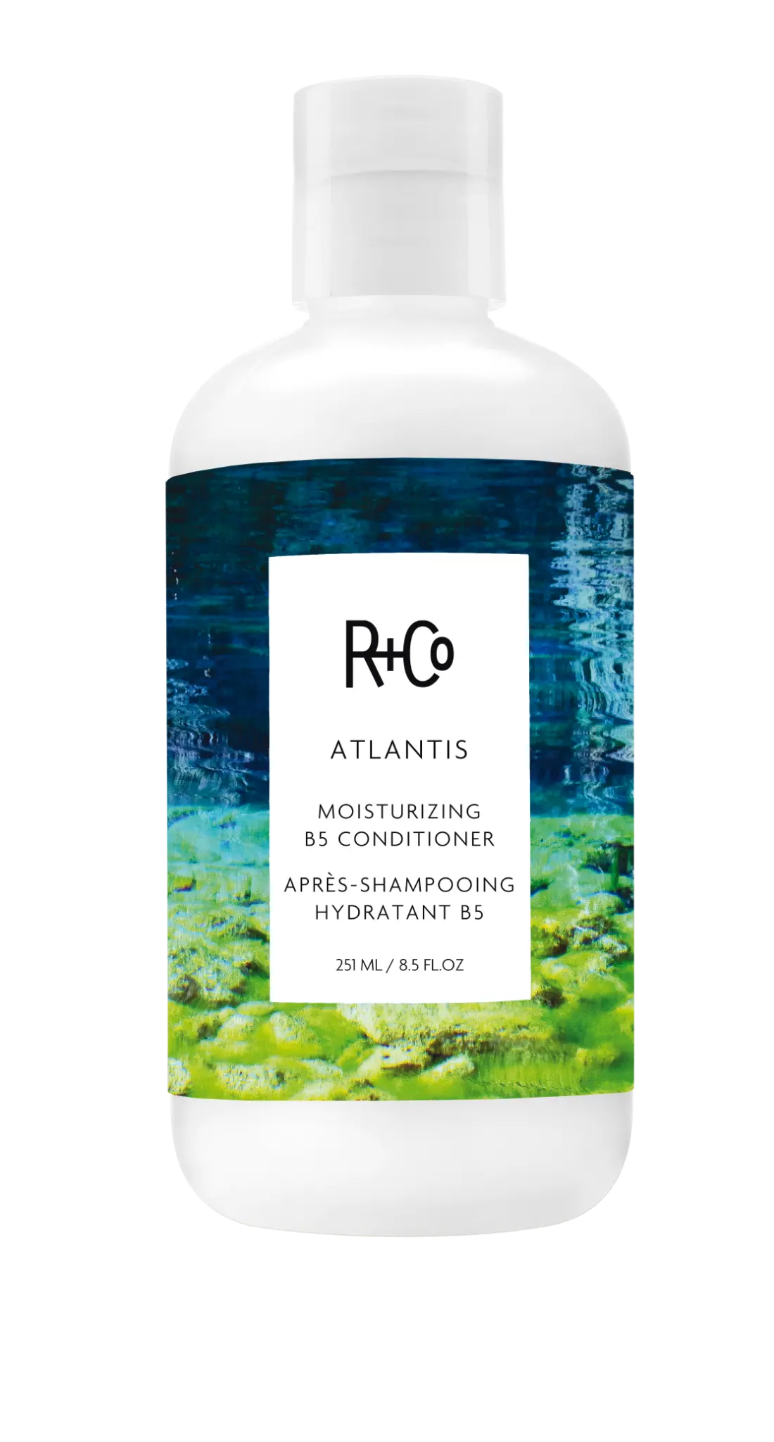 R+Co Atlantis Moisturizing B5 Conditioner at angelajoneshair, Palm Springs